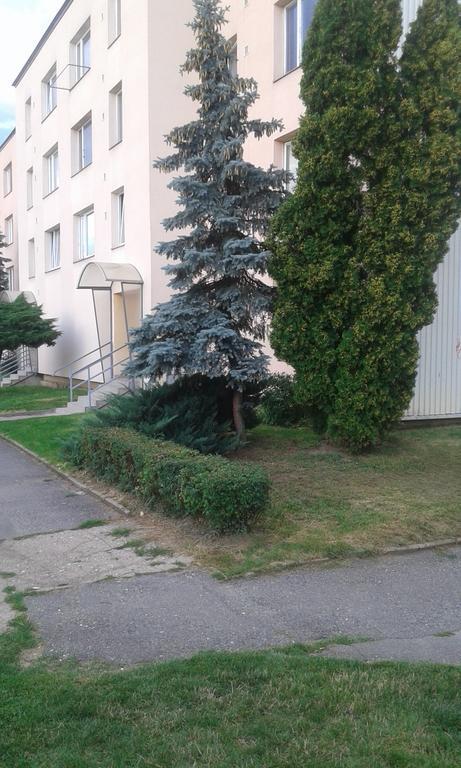 Apartman Ortenova 74 Kutná Hora Exteriér fotografie